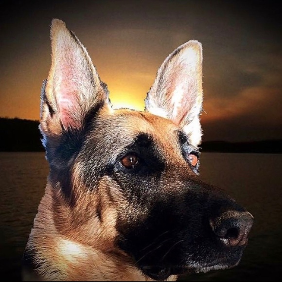 Hi there! I'm Dawn. - Picture 2 of 5